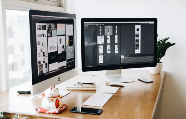 Technological Innovation and Web Development